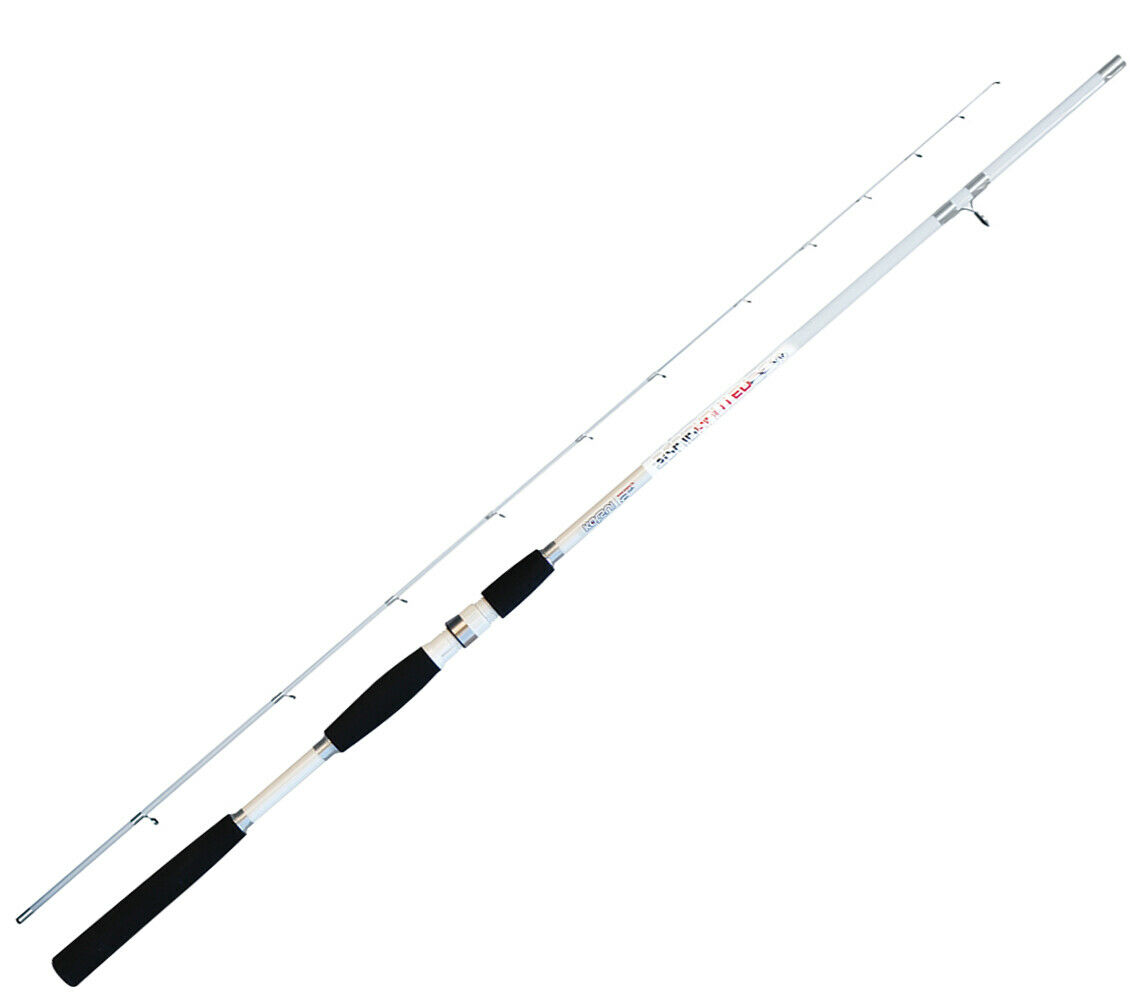 00779-000-813-jpg JATSUI SQUID HUNTER 1,80 AZ.120 - immagine 1
